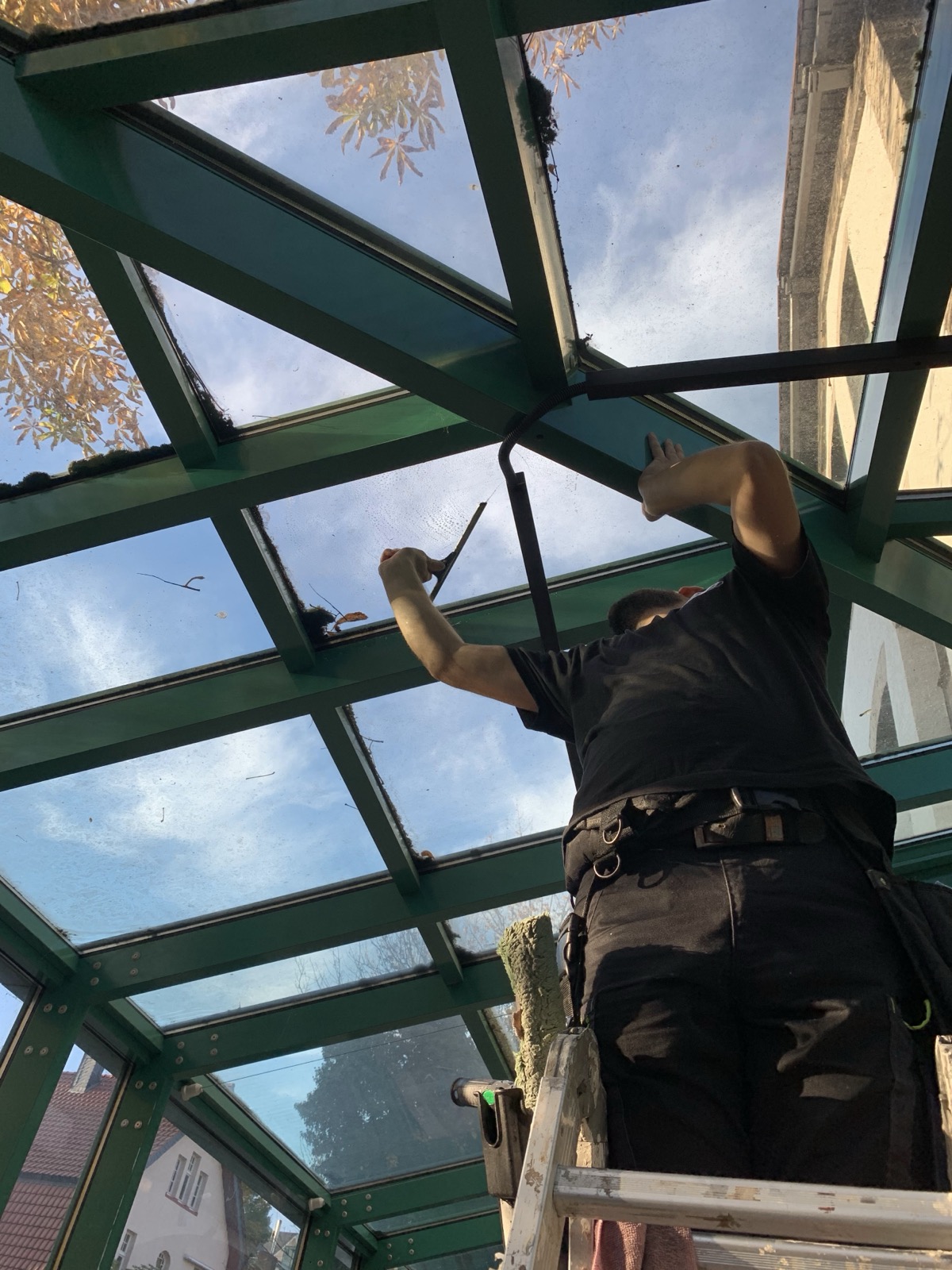 Professionelle Gebäudereinigung durch LION Reinigungsfirma Göttingen – Fensterreinigung, Grundreinigung, Büroreinigung